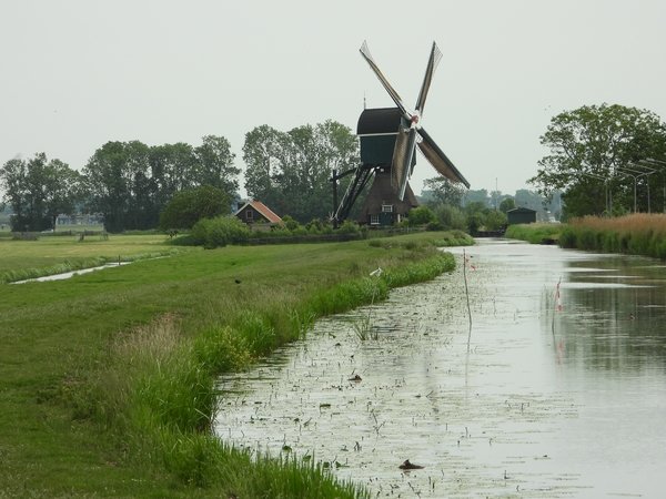 boterslootsemolennoordeloos22052020 2
